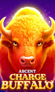 Charge Buffalo-ASCENT
