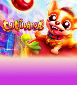 CHILIHUAHUA