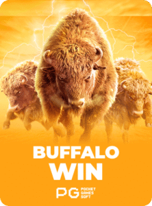 Buffalo Win