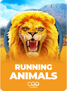 Running Animals