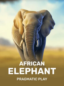 African Elephant