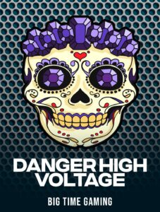 Danger High Voltage