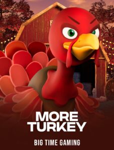 More Turkey