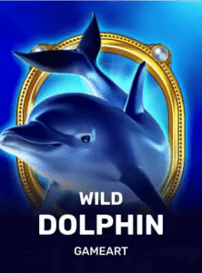 Wild Dolphin