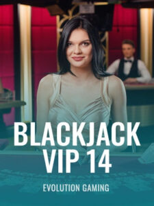 Blackjack VIP 14