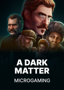 A Dark Matter