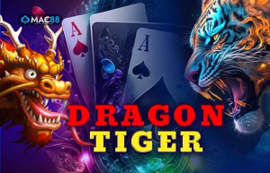 Sexy Dragon Tiger