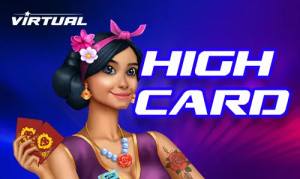 Hi Lo VR