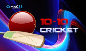 10 – 10 cricket