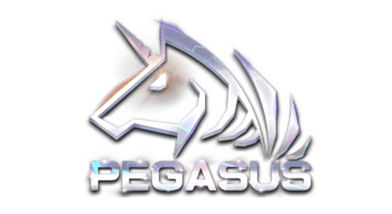 PgsGaming