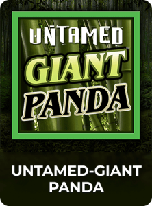 Untamed – Giant Panda