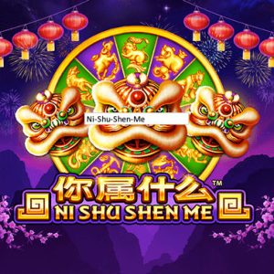 Ni Shu Shen Me