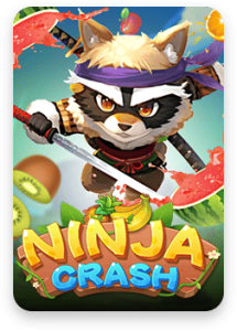 ninja-crash