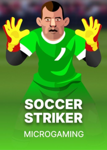 Soccer Striker