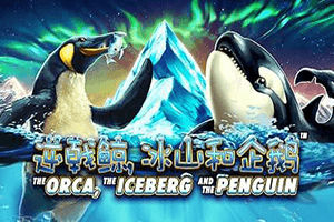 The Orca, the Iceberg and the Penguin